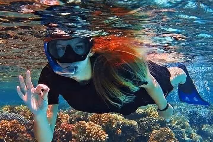 Snorkeler over vibrant coral reef in Ras Mohammed National Park, Red Sea day trip from Sharm El Sheikh