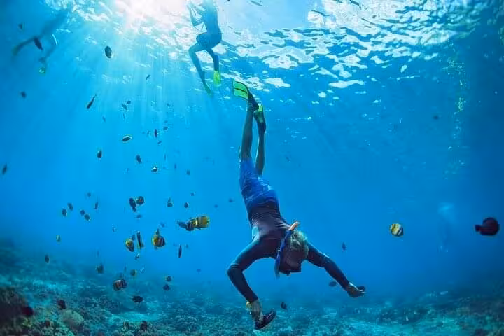 Snorkeler over coral reef with tropical fish in Ras Mohammed National Park, White Island cruise from Sharm El Sheikh