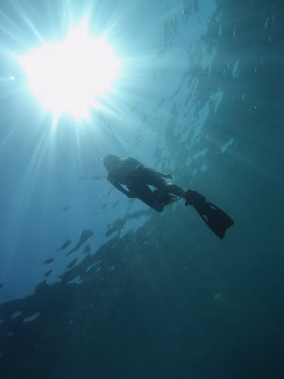 Snorkeler gliding in clear Mediterranean water under sunbeams, part of a 3-day boating and snorkeling adventure