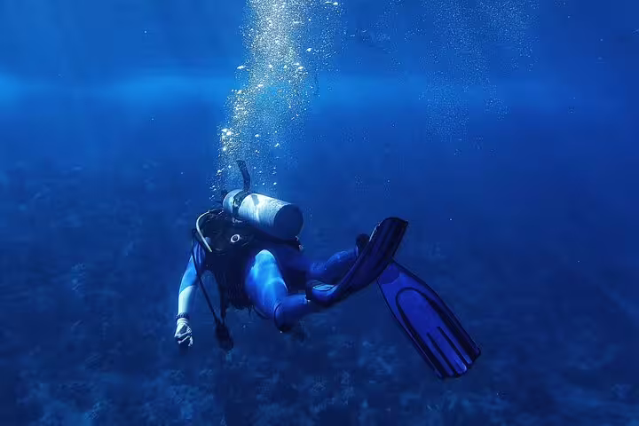 Snorkeler underwater in the Red Sea near Satayh Dolphin Reef, exploring coral gardens on dolphin reef tour