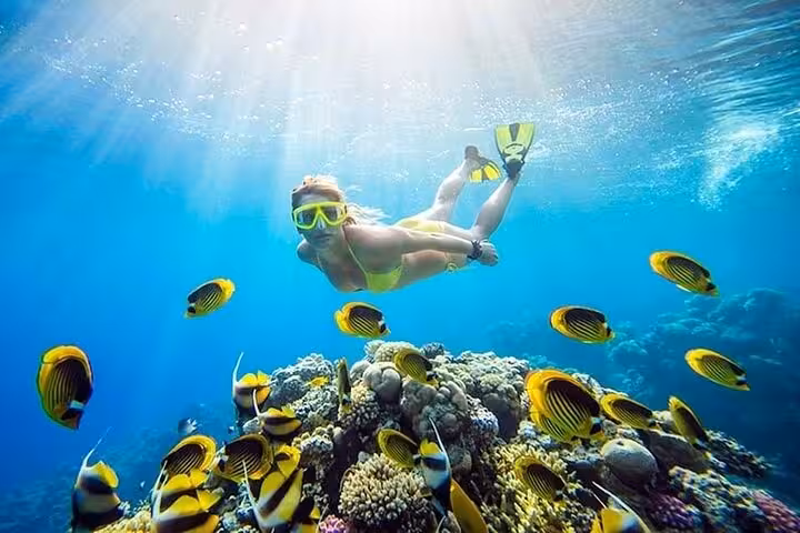Snorkeler over vibrant coral reef with tropical fish on Orange Island snorkeling tour from Hurghada