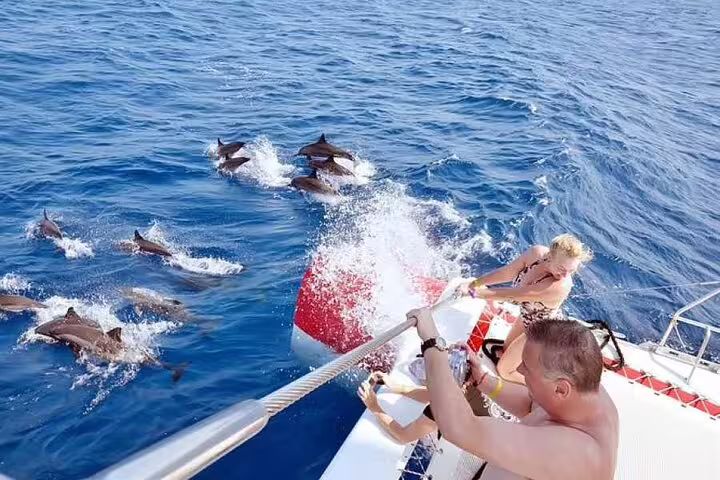 Guests on VIP boat watching wild dolphins swim alongside at Sataya Reef, Marsa Alam snorkeling day tour