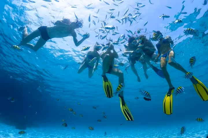 Snorkelers in Hurghada Red Sea at Dolphin House lagoon, swimming among colorful reef fish