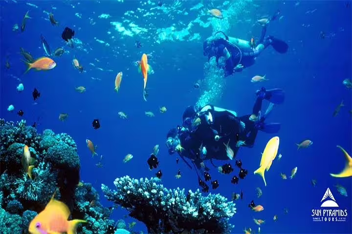 Snorkeling at Mahmya Island from Hurghada with colorful Red Sea fish and coral reef underwater