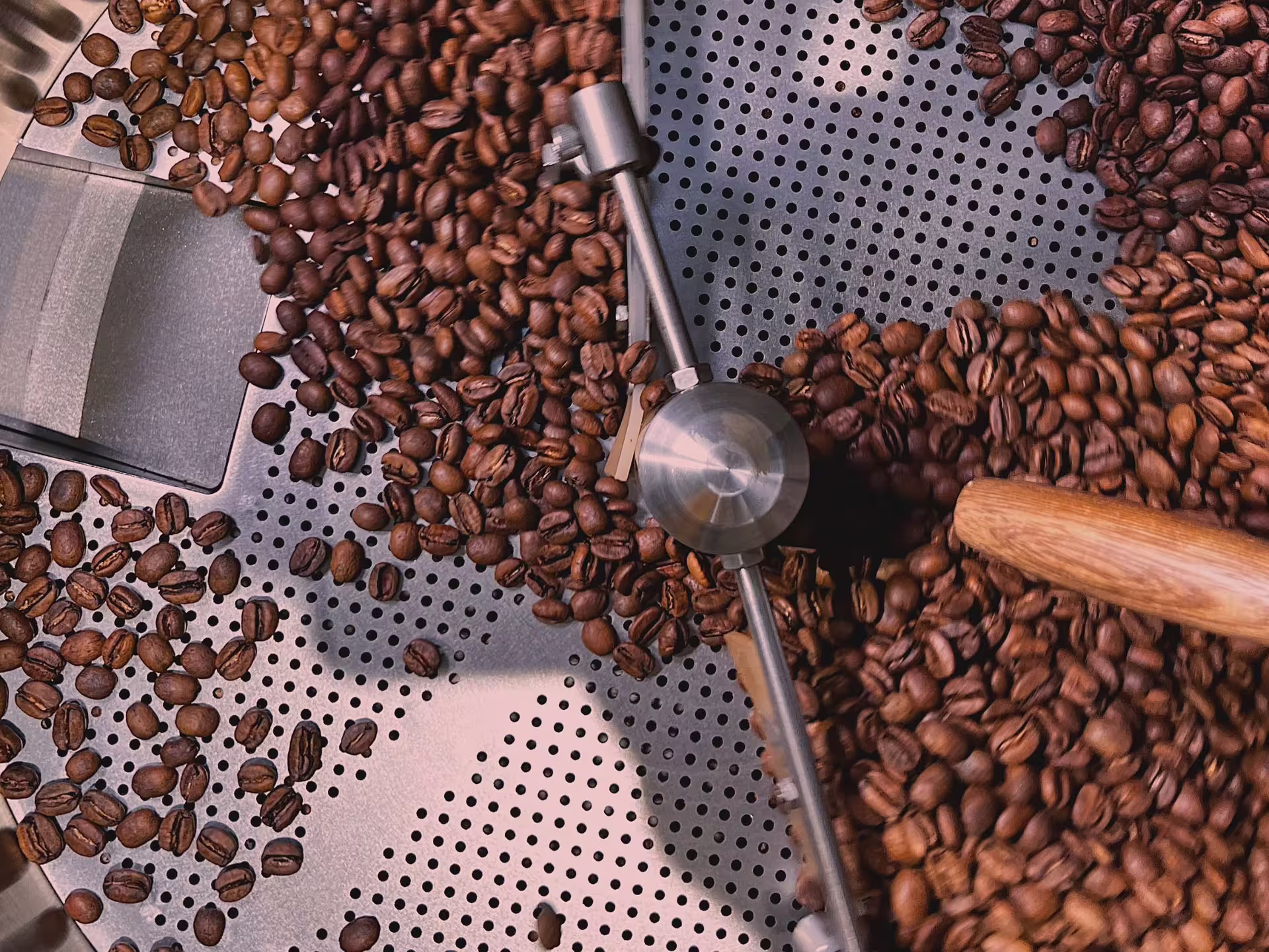 Close-up of coffee beans cooling in a modern roaster at a Turin specialty coffee experience.