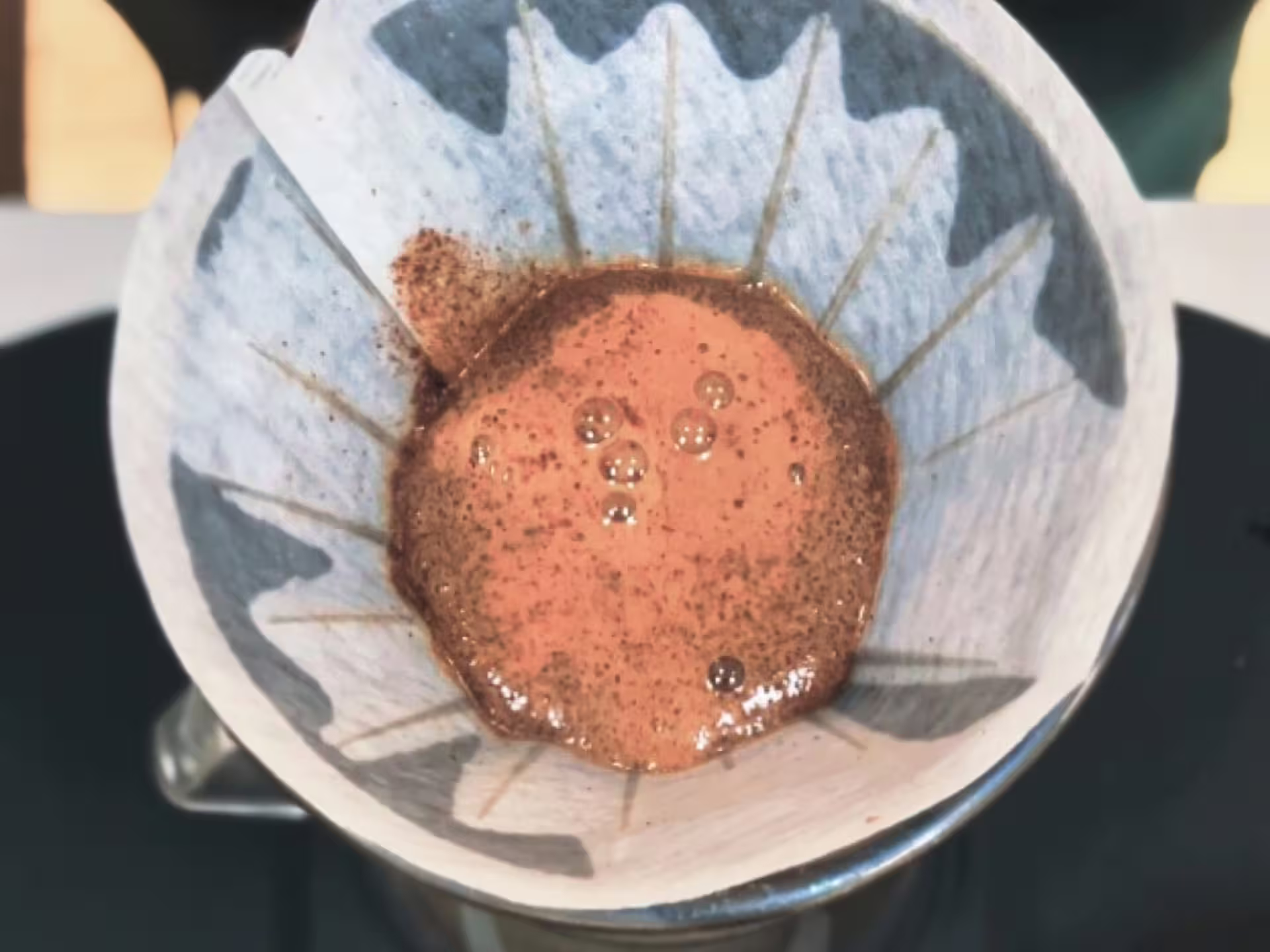 Detailed view of fresh coffee grounds blooming in a filter at Turin's specialty roastery tasting experience.