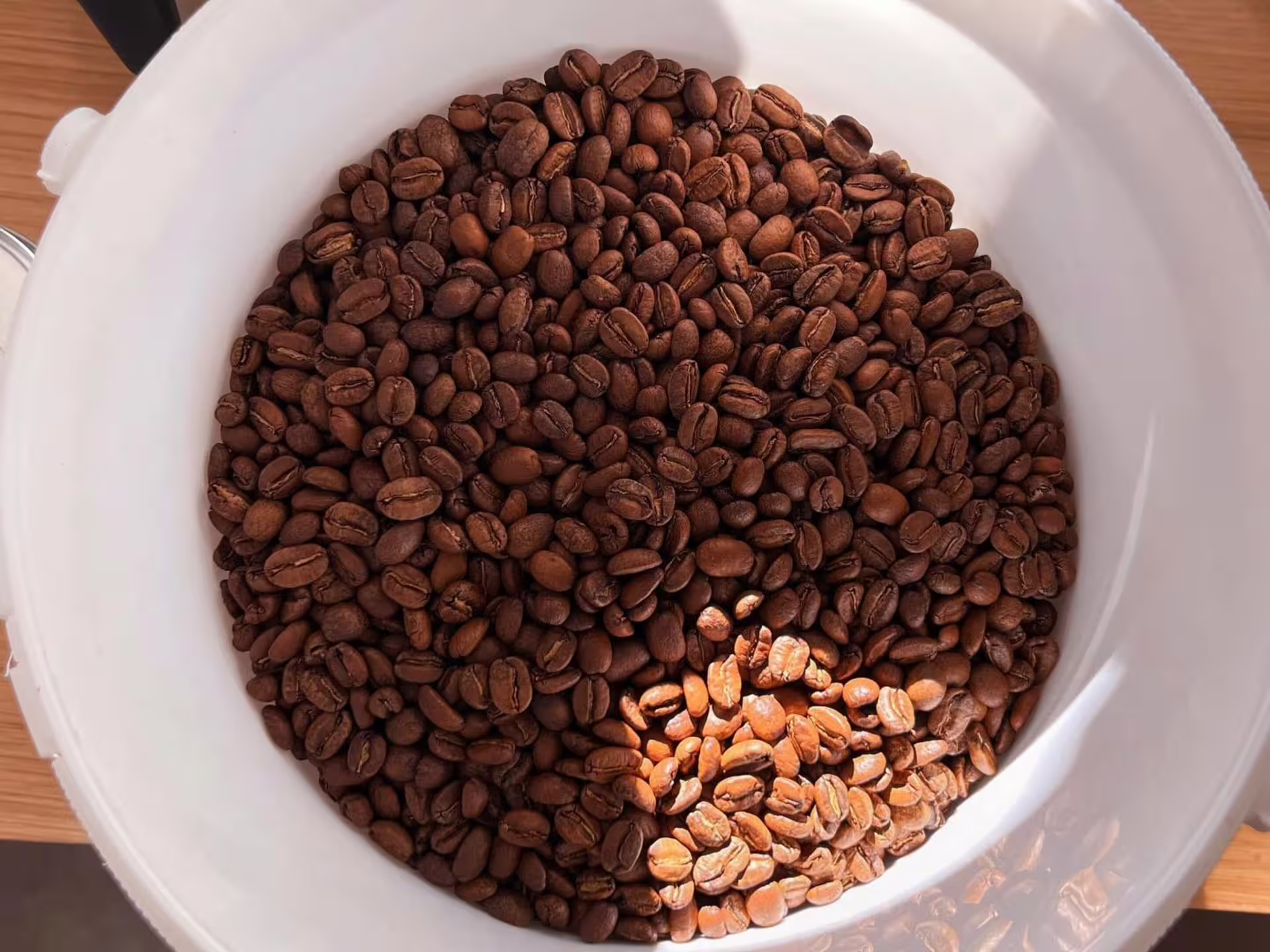 A white bucket filled with freshly roasted coffee beans at a specialty roastery in Turin.