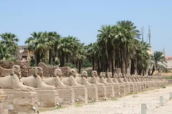 Row of sphinx statues at Karnak Temple, Luxor on historical day tour by plane from Sharm El Sheikh