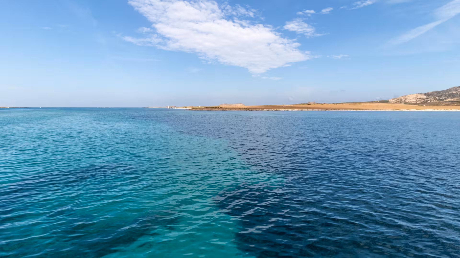 Expansive view of Asinara Island's sandy coastline and turquoise waters from a catamaran near Stintino.