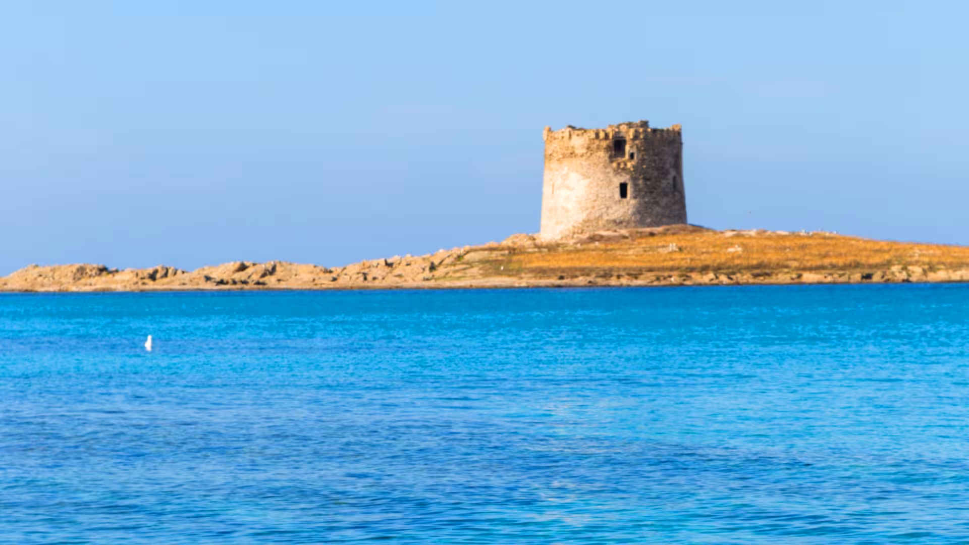 View of the ancient stone tower on the island near La Pelosa, Stintino, surrounded by crystal-clear turquoise waters.