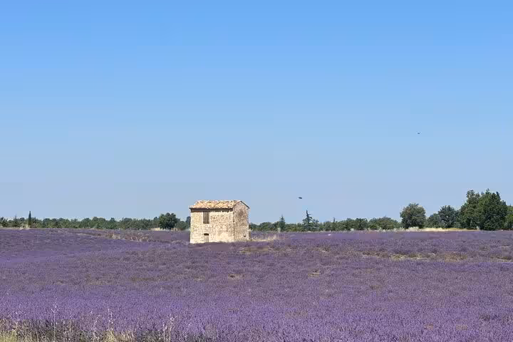 Stone farmhouse amid blooming lavender fields in Provence, perfect photo stop on a private full-day tour