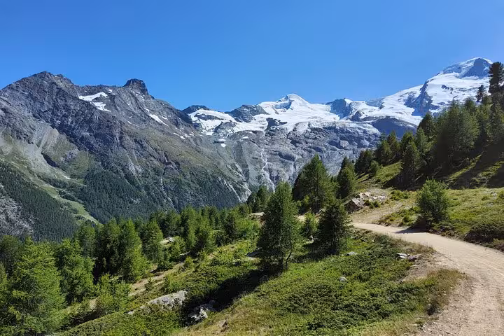 Mountain trail through pine forest toward snowy Swiss Alps peaks, highlight of 4-day Swiss Magic trekking tour