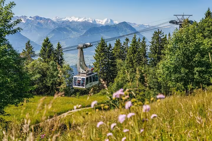 Cable car ascends through lush Swiss forest with stunning alpine backdrop, ideal for a memorable mountain adventure.