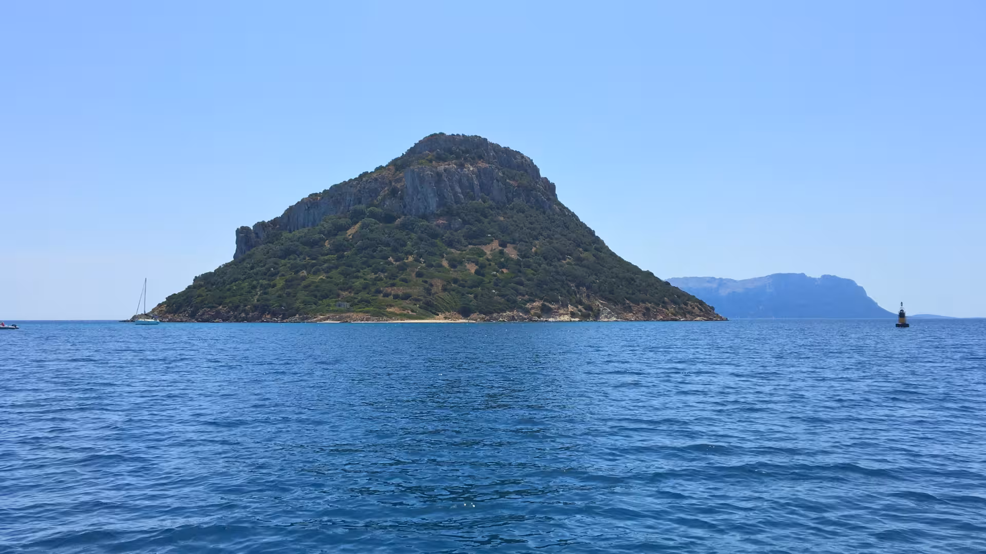 Scenic view of Tavolara Island's lush green landscape surrounded by the blue waters of Golfo Aranci.
