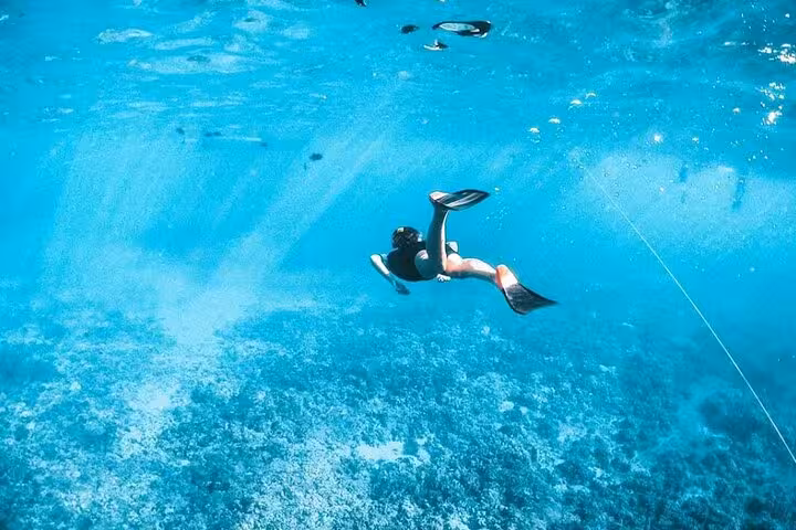 Snorkeler swimming over vibrant Red Sea coral on a Tiran Island full-day boat trip from Sharm El Sheikh