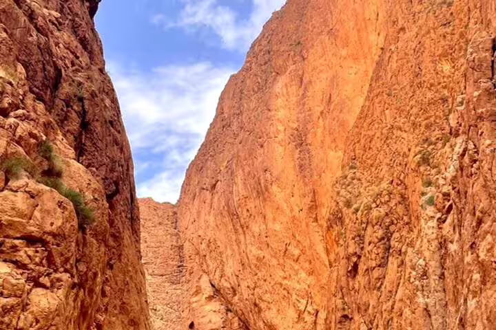 Towering red cliffs of Todra Gorge near Tinghir, a highlight on Morocco 9 days tour from Marrakech