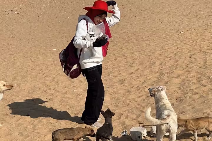 Traveler feeding stray dogs in Saqqara desert, ethical Memphis and Dahshur pyramids day tour in Egypt