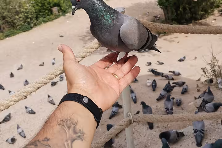 Traveler feeding a pigeon during Green Tour Cappadocia stop, a fun moment on the full-day guided trip