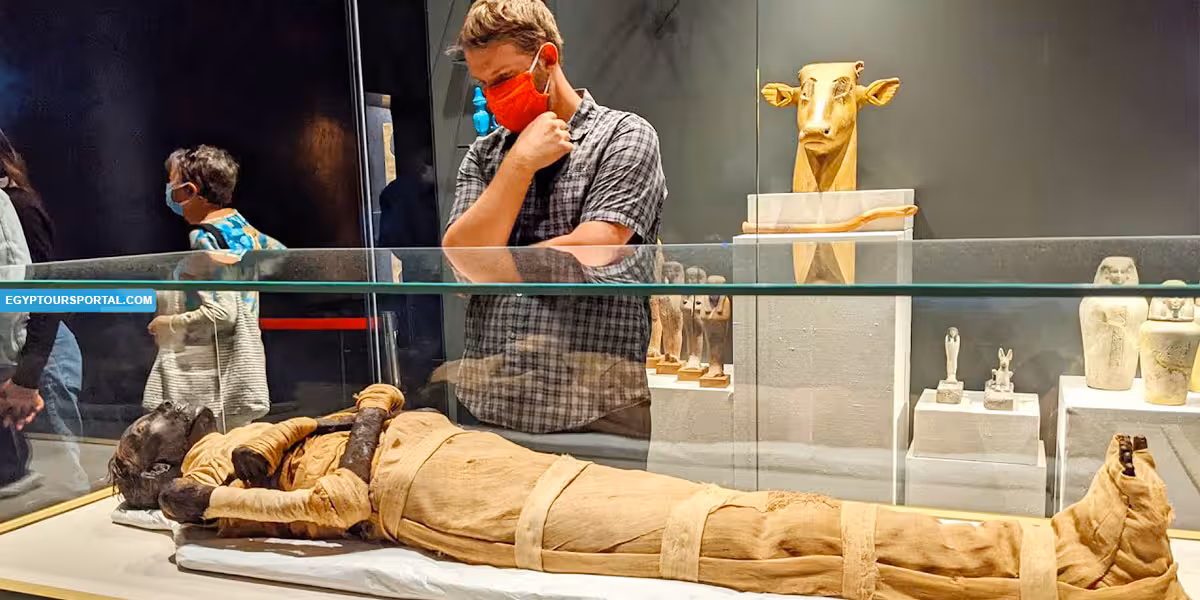 Traveler viewing a wrapped mummy at the National Museum of Egyptian Civilization on a private Cairo tour