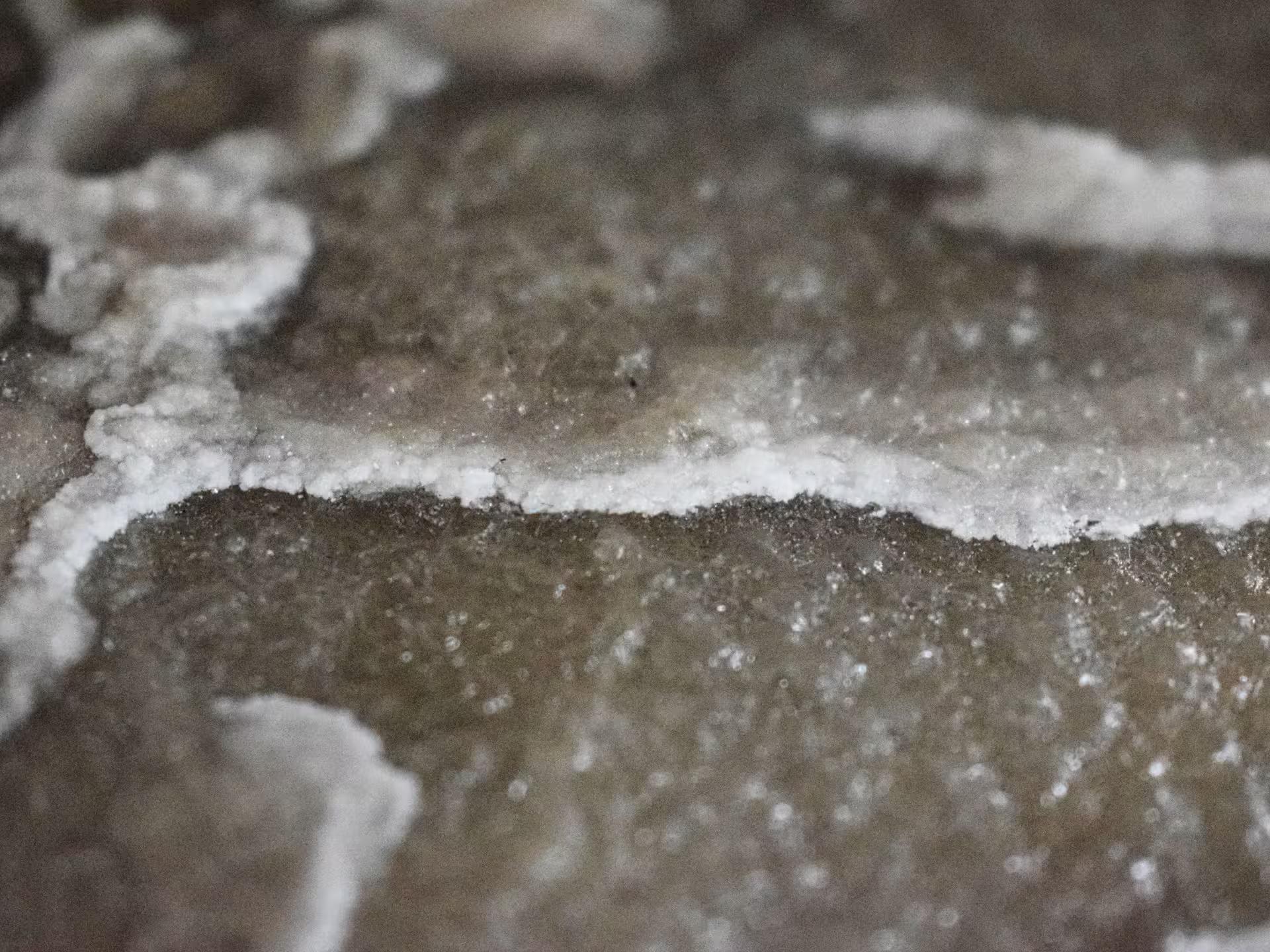 Close-up of ancient salt rock layers with white crystal deposits at Turda Salt Mine Romania guided tour