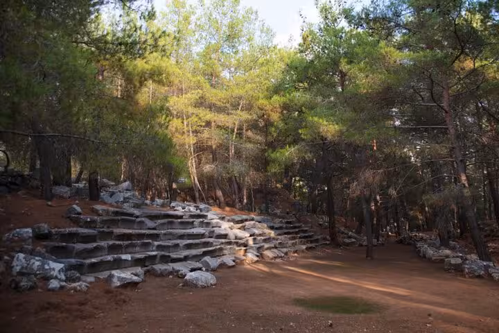 Explore ancient stone terraces surrounded by lush forest in Turkey's hidden villages, perfect for nature and history tours.