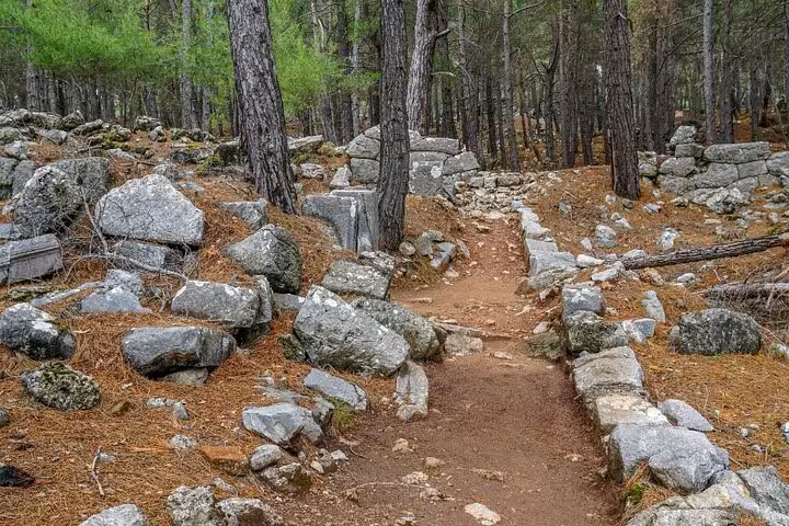 Rustic forest path lined with ancient stones, offering a glimpse into Turkey's historical village trails.