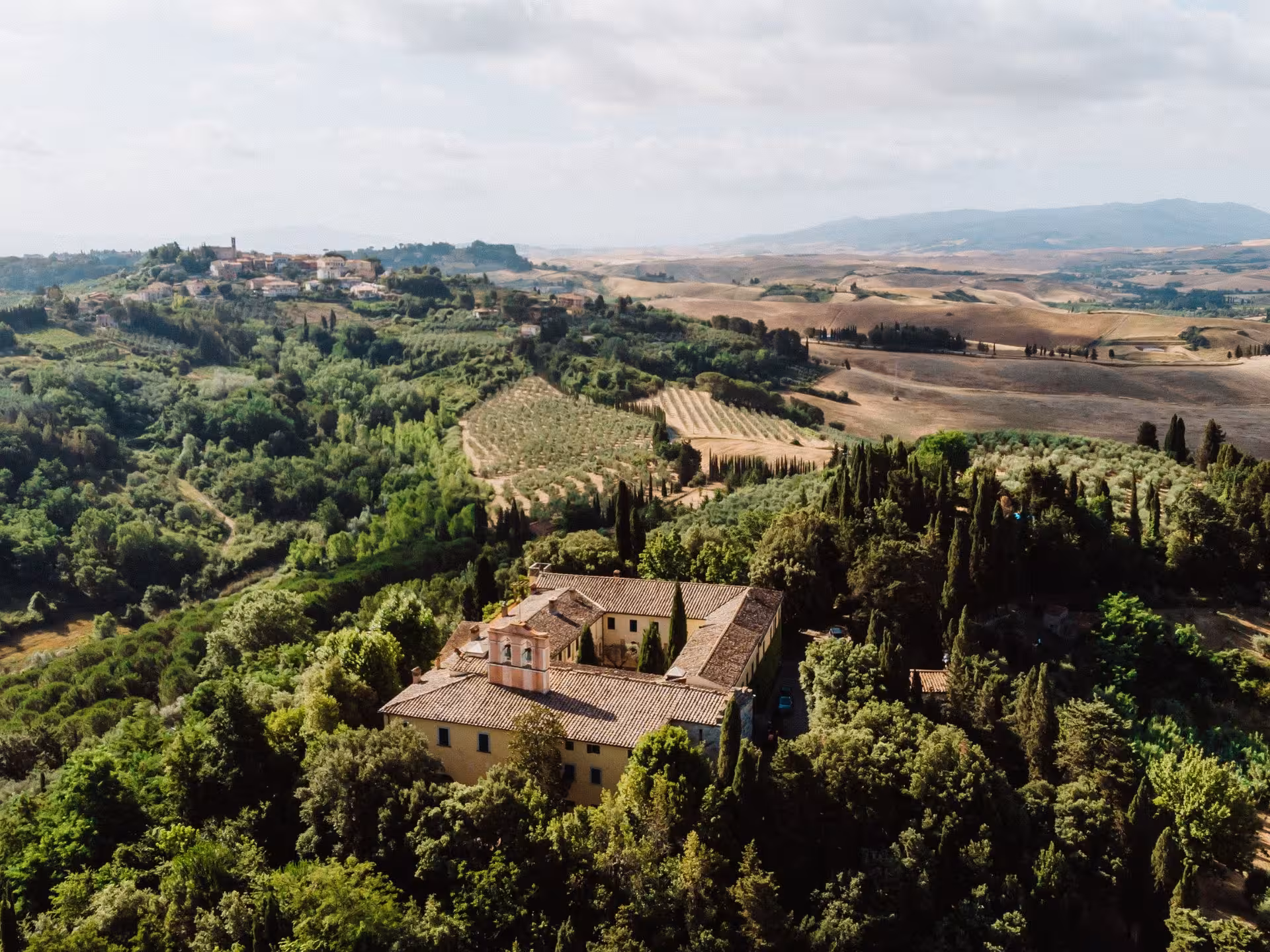 Experience breathtaking views of the rolling Tuscan countryside near Pisa, dotted with vineyards and olive groves.
