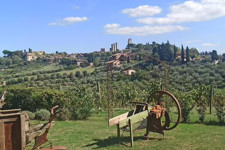 Sunlit countryside vineyard with rolling grapevines, medieval hilltop village and rustic wine-making tools for grape stomping tours