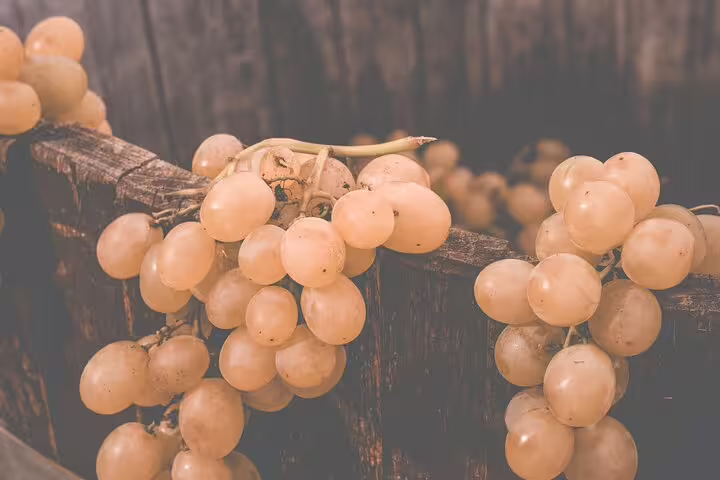 Clusters of pale grapes spilling over a rustic wooden vat ready for traditional countryside grape stomping and wine tasting