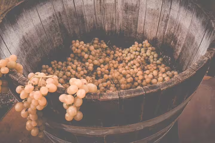 Large wooden tub filled with fresh white grapes ready for traditional grape stomping during a rural wine experience
