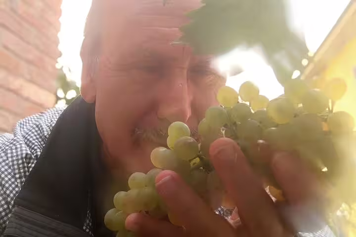 Guest enjoying the aroma of freshly picked white grapes during an immersive countryside wine tasting and grape stomping day