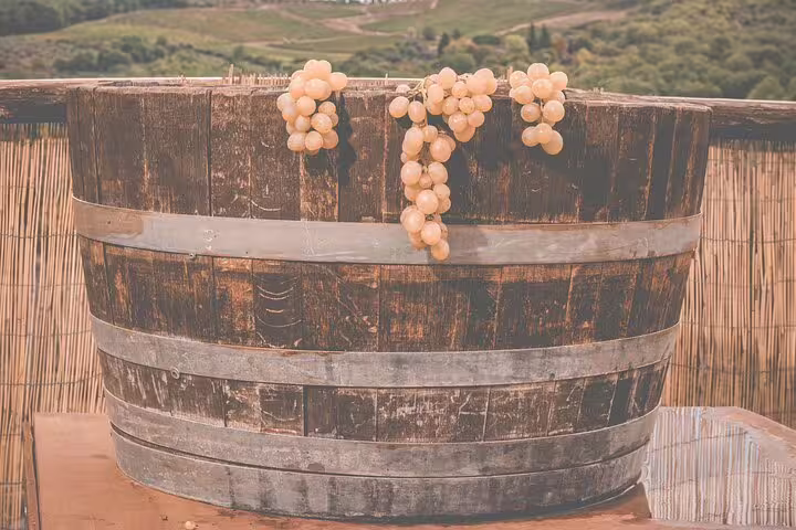 Large rustic wooden vat overflowing with white grape bunches, ready for traditional grape stomping during countryside wine tour