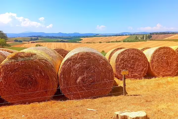Golden hay bales in rolling Tuscan fields near Chianti, seen on a scenic countryside drive during a private wine tour