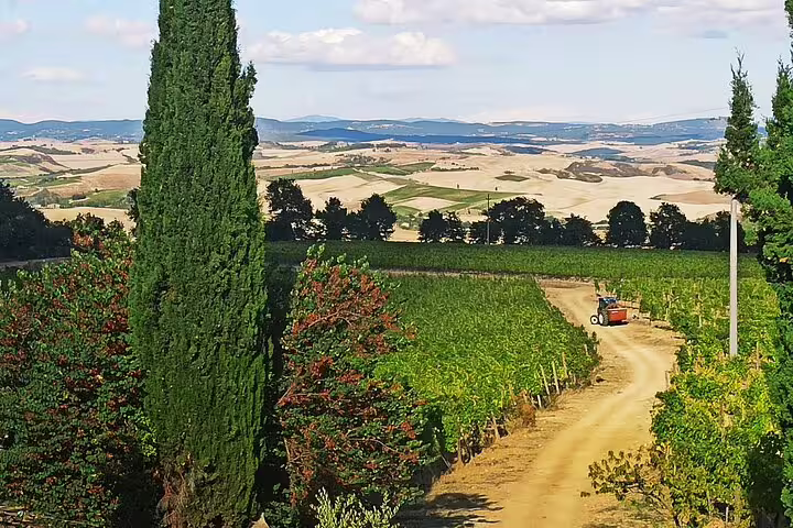 Scenic Tuscan vineyard near Montepulciano with cypress trees, tractor and rolling hills on private Cortona wine tour