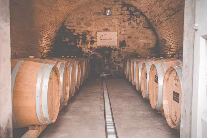 Historic stone wine cellar lined with oak barrels, showcasing aging process on an immersive countryside wine tasting experience