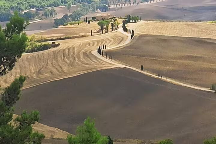 Scenic Tuscan countryside near Cortona with winding cypress-lined road and rolling vineyards on a private wine tour route
