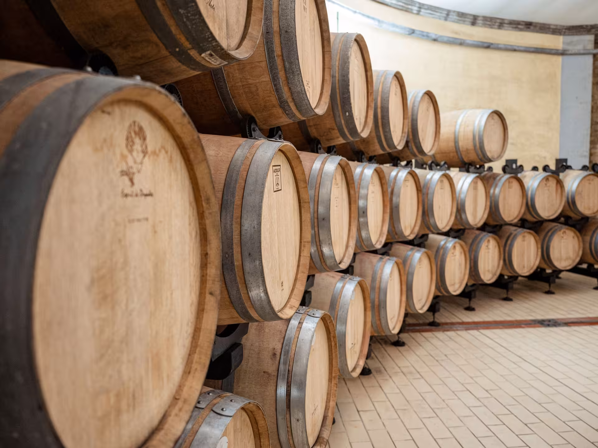 Rows of oak barrels in a Tuscan winery cellar, highlighting the wine aging process near Pisa.