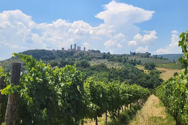 Stunning view of Tuscan vineyards with historic hilltop town under a bright, blue sky on Vespa tour route.
