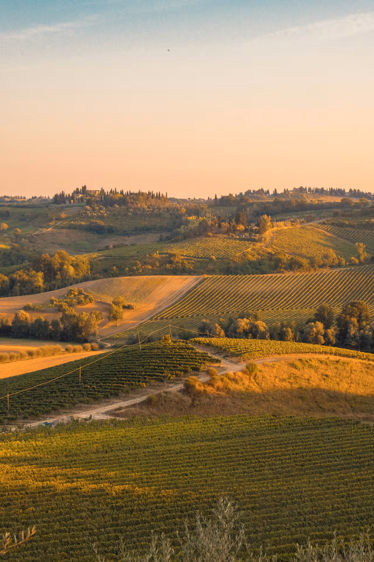 Scenic sunset over Tuscany's rolling vineyards near Volterra, ideal for a wine experience tour.