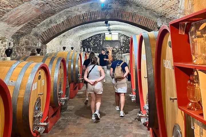 Visitors exploring a rustic wine cellar filled with large barrels in Tuscany on a Pisa, Vinci, wine tasting tour.
