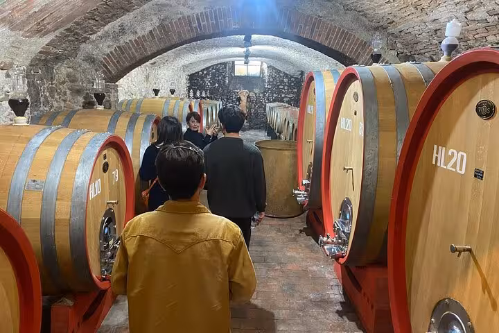 Visitors exploring a rustic wine cellar filled with large oak barrels in Tuscany on a small group tour.