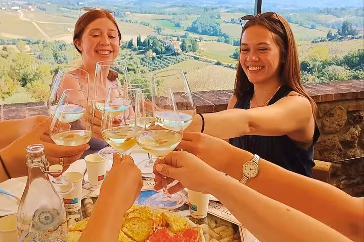 Group of friends toasting with wine glasses at a scenic Tuscan vineyard, part of a Pisa, Vinci tasting tour.