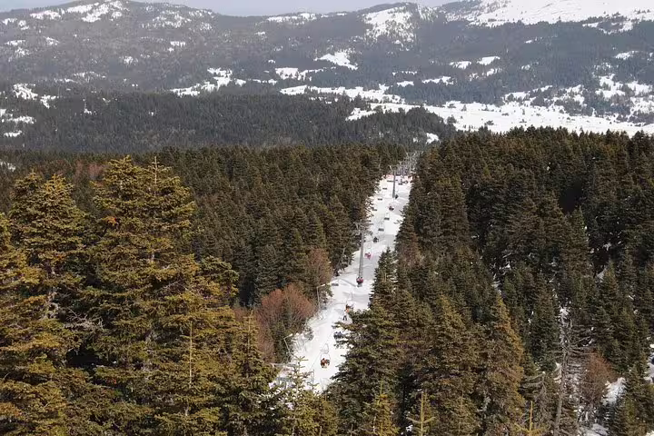 Uludag Mountain snowy forest view on Bursa day trip from Istanbul, scenic winter landscape and ski area