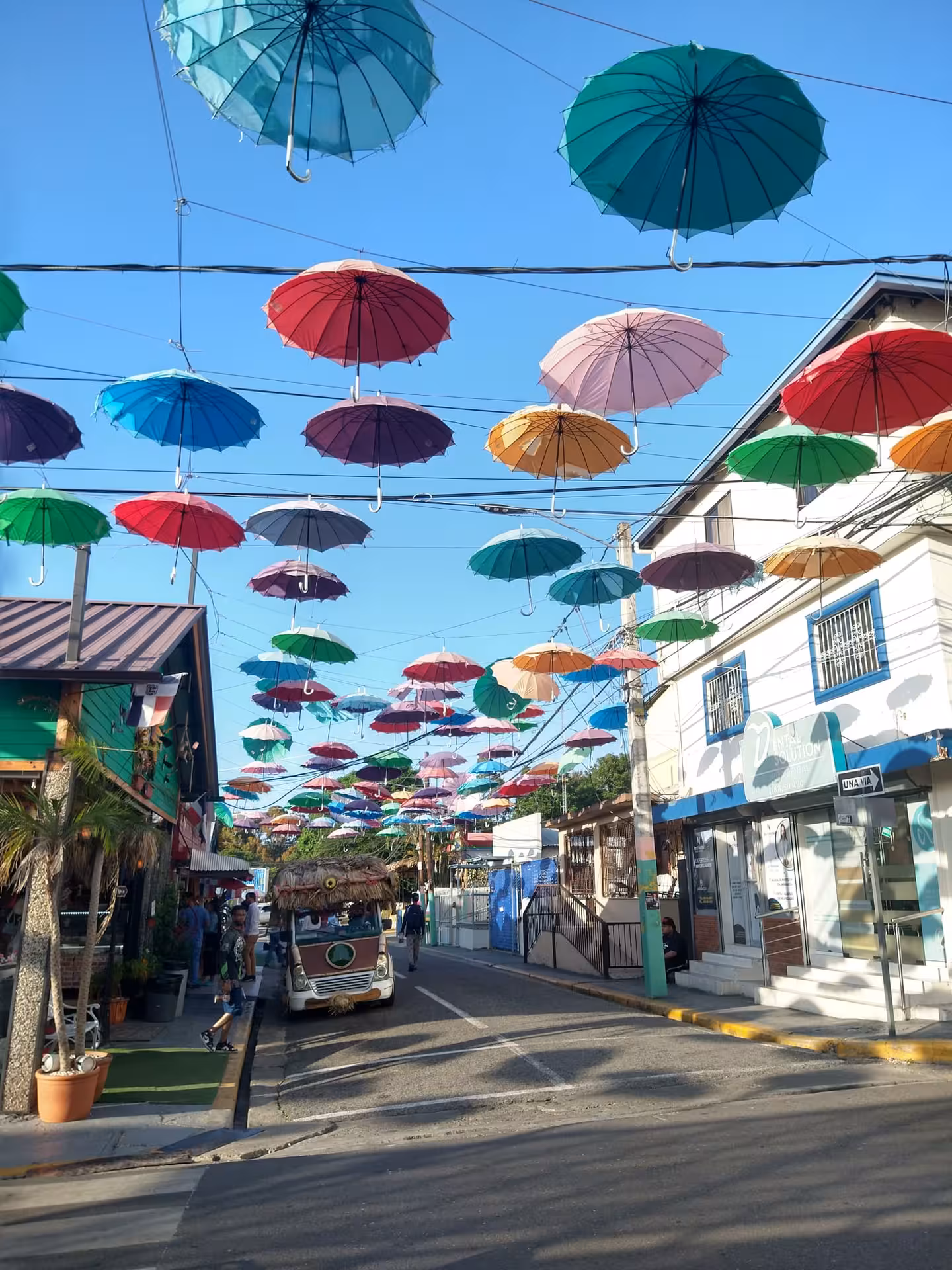Umbrella street in Santo Domingo with vibrant canopy, iconic Dominican Republic cultural city tour stop