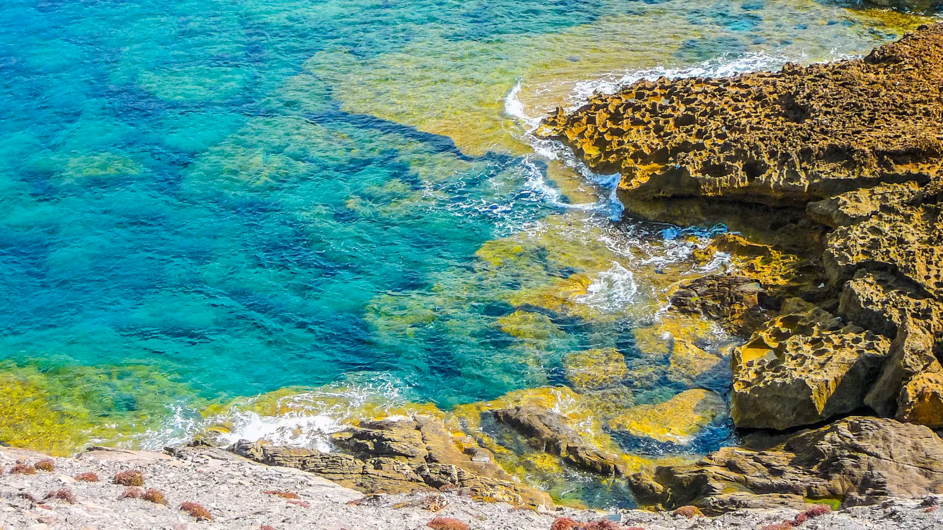 Discover vibrant marine life in Argentiera's crystal-clear waters, ideal for an unforgettable underwater baptism experience.