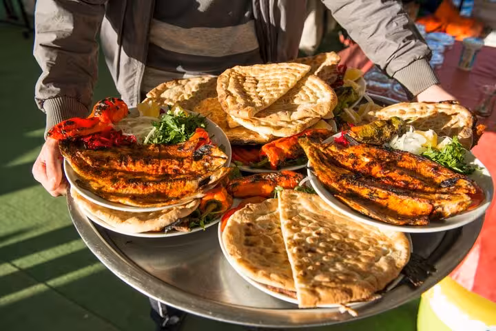 Traditional Urfa kebab platter with flatbread served during private Göbeklitepe tour from Istanbul with flight included