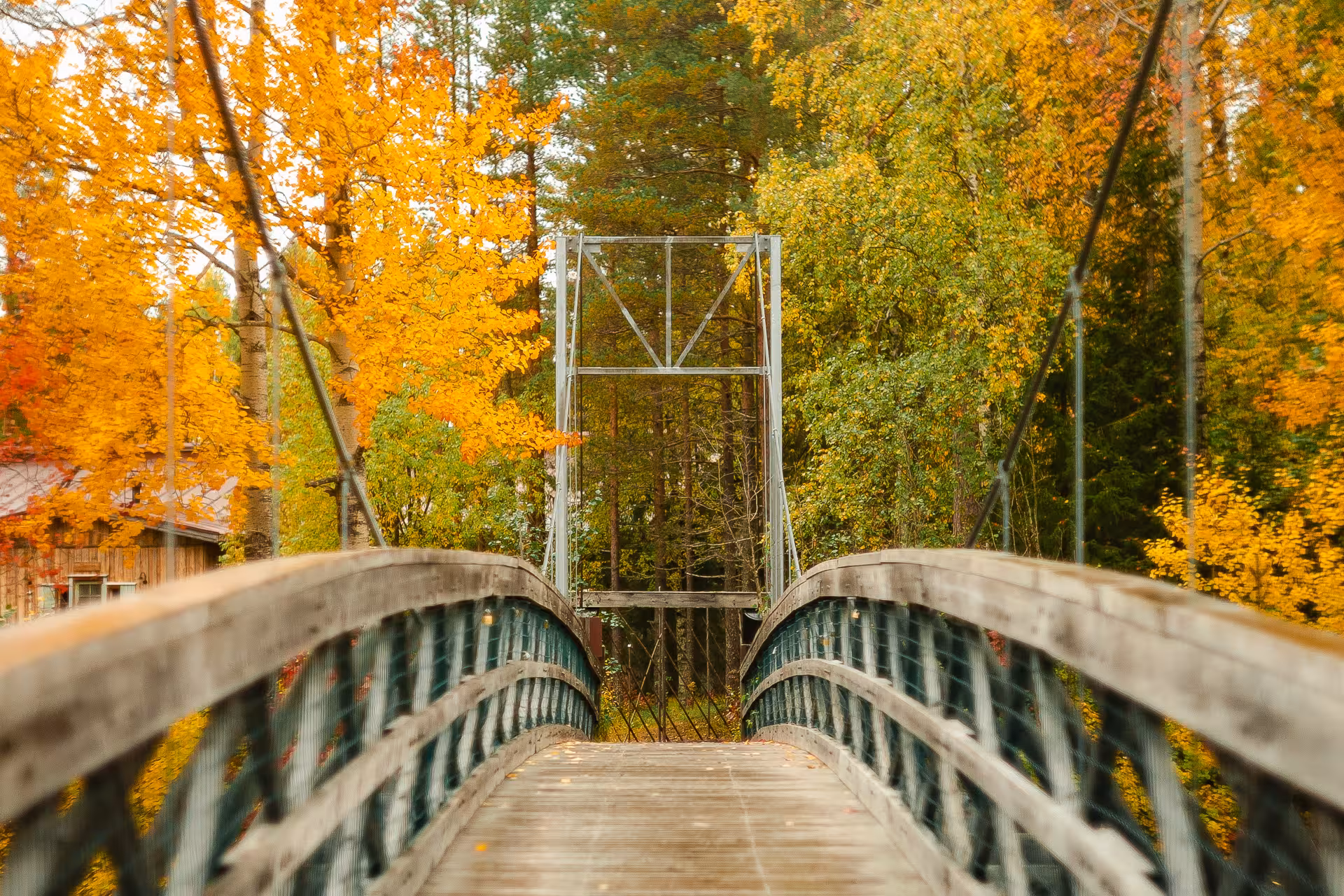 Picturesque suspension bridge surrounded by colorful fall foliage on Vaattunkiköngäs Trail, perfect for Arctic Circle adventures.