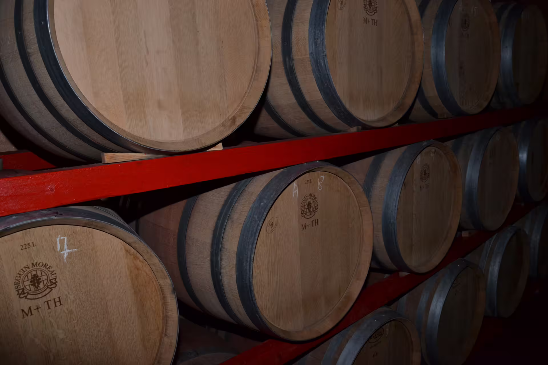 Botti di rovere nella barricaia della cantina Valle Martello, tappa della visita guidata con degustazione