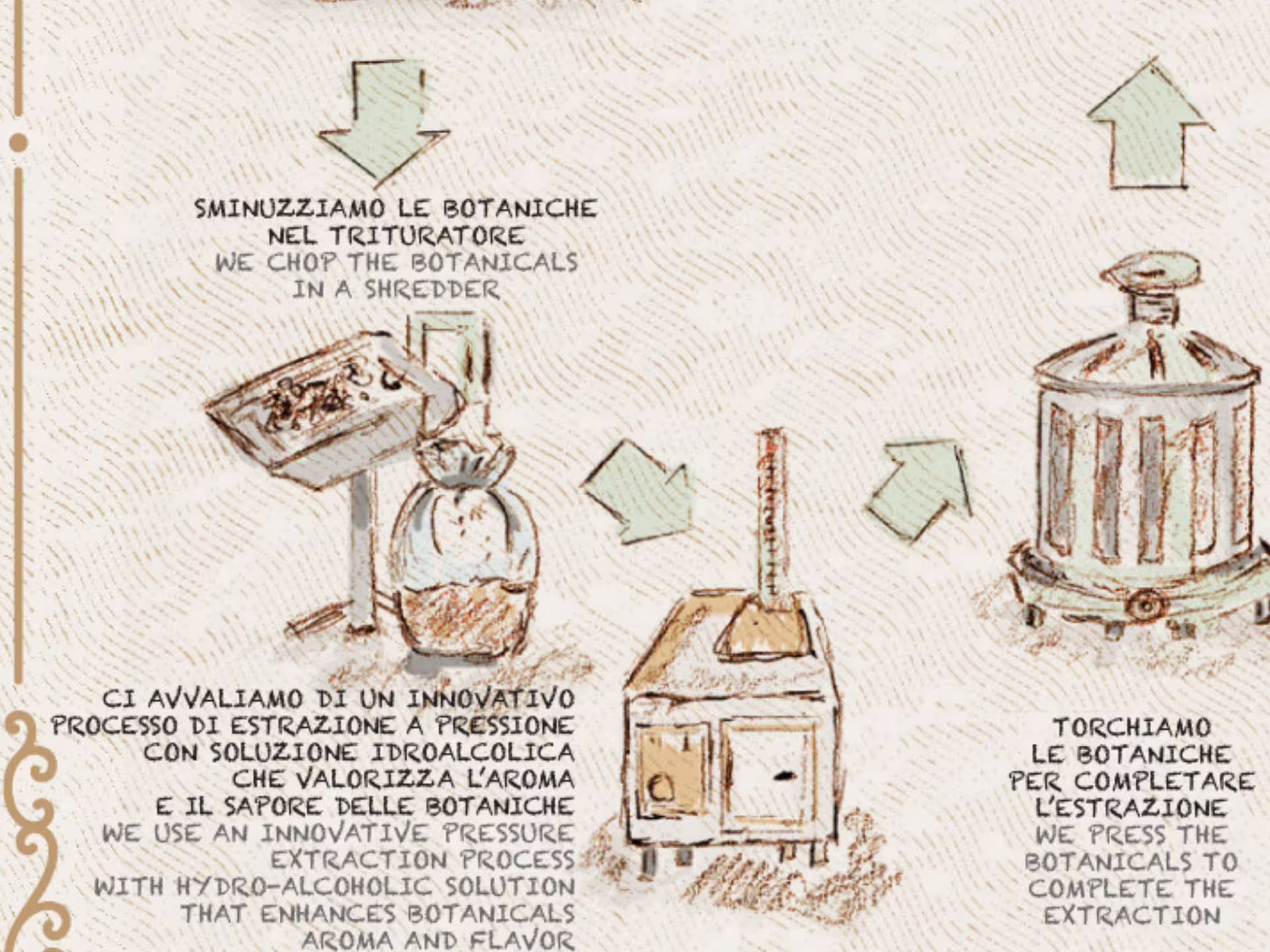 Illustration of botanical extraction process for vermouth production in Turin.