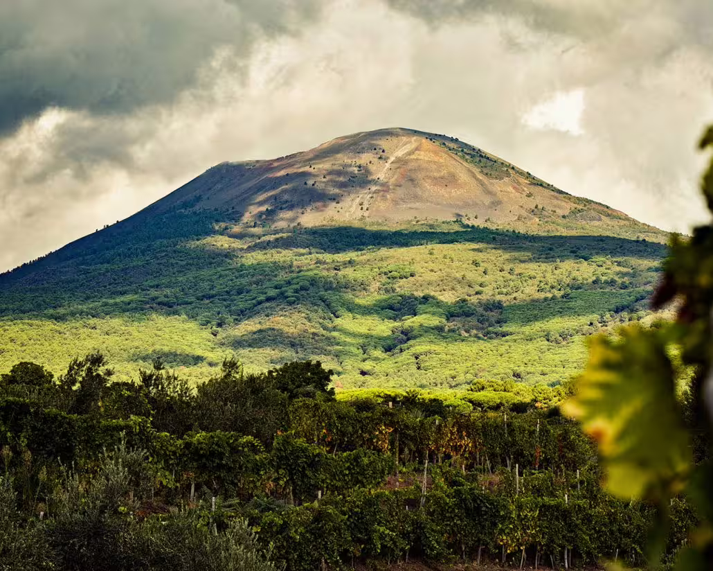 Lush vineyards spread across the fertile lower slopes of Mount Vesuvius under dramatic skies near Naples, Italy